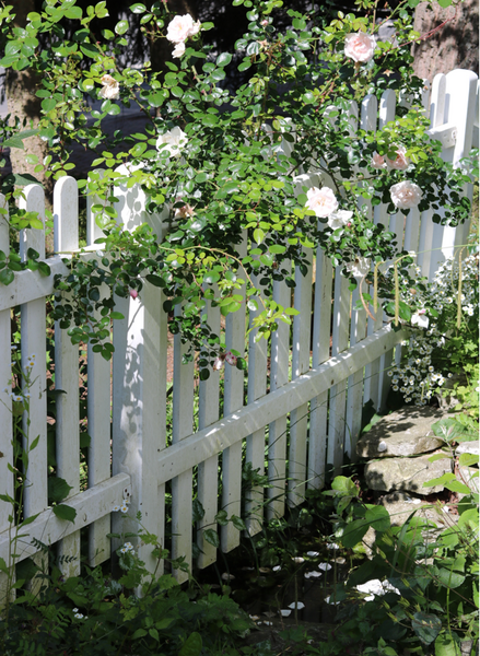 Strukturreicher Garten 