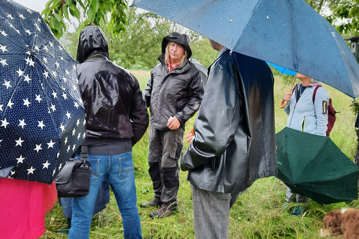 5 Menschen stehen auf einer Wiese locker in einer Gruppe zusammen, einige haben Regenschirmen, es regnet einige mit Regenschirmen